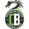CB Hounslow United logo