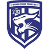Wuhan Three Towns logo