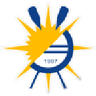 Palmas logo