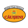 Sinteza Căuşeni logo