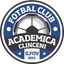 FC Clinceni