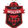 Wollongong Wolves logo