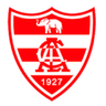 Linense U20 logo