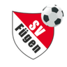 Fügen logo