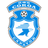 FK Sokol Saratov logo