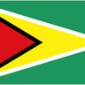 Guyana logo