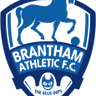 Brantham Athletic logo