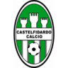 Castelfidardo Calcio logo