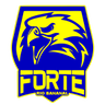Forte FC logo
