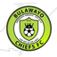 Bulawayo Chiefs