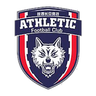 Shaanxi Changan Athletic logo