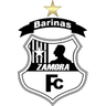 Zamora FC B logo