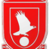 Llanrug United logo
