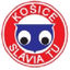 Slávia TU Košice