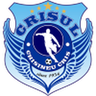 Crişul Chişineu Criş logo