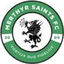 Merthyr Saints