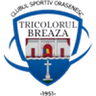 Tricolorul Breaza logo