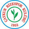 Rizespor logo
