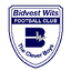 Bidvest Wits