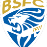 Brescia U19 logo