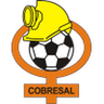 Cobresal logo