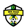 Baník Veľký Krtíš logo