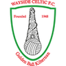 Wayside Celtic logo