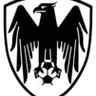 Shahin Bushehr logo