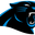 Carolina W