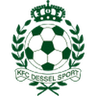 Dessel Sport logo