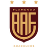 Flamengo SP U20 logo