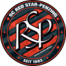 Red Star Penzing logo