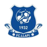 Llapi logo