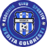 Vediţa Coloneşti logo