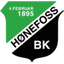 Hønefoss W
