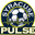 Syracuse Pulse