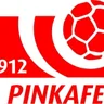Pinkafeld logo