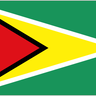 Guyana U20 logo