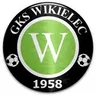 Wikielec logo