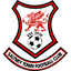 Saltney Town