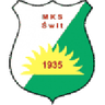 Swit logo