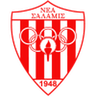 Nea Salamis logo