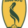 Livyi Bereh U19 logo