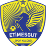 Etimesgut SK logo