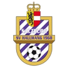 Hallwang logo