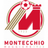 Montecchio Maggiore logo
