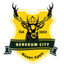 Berekum City