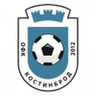 Kostinbrod logo