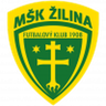 Žilina W logo
