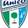 Pinatar logo